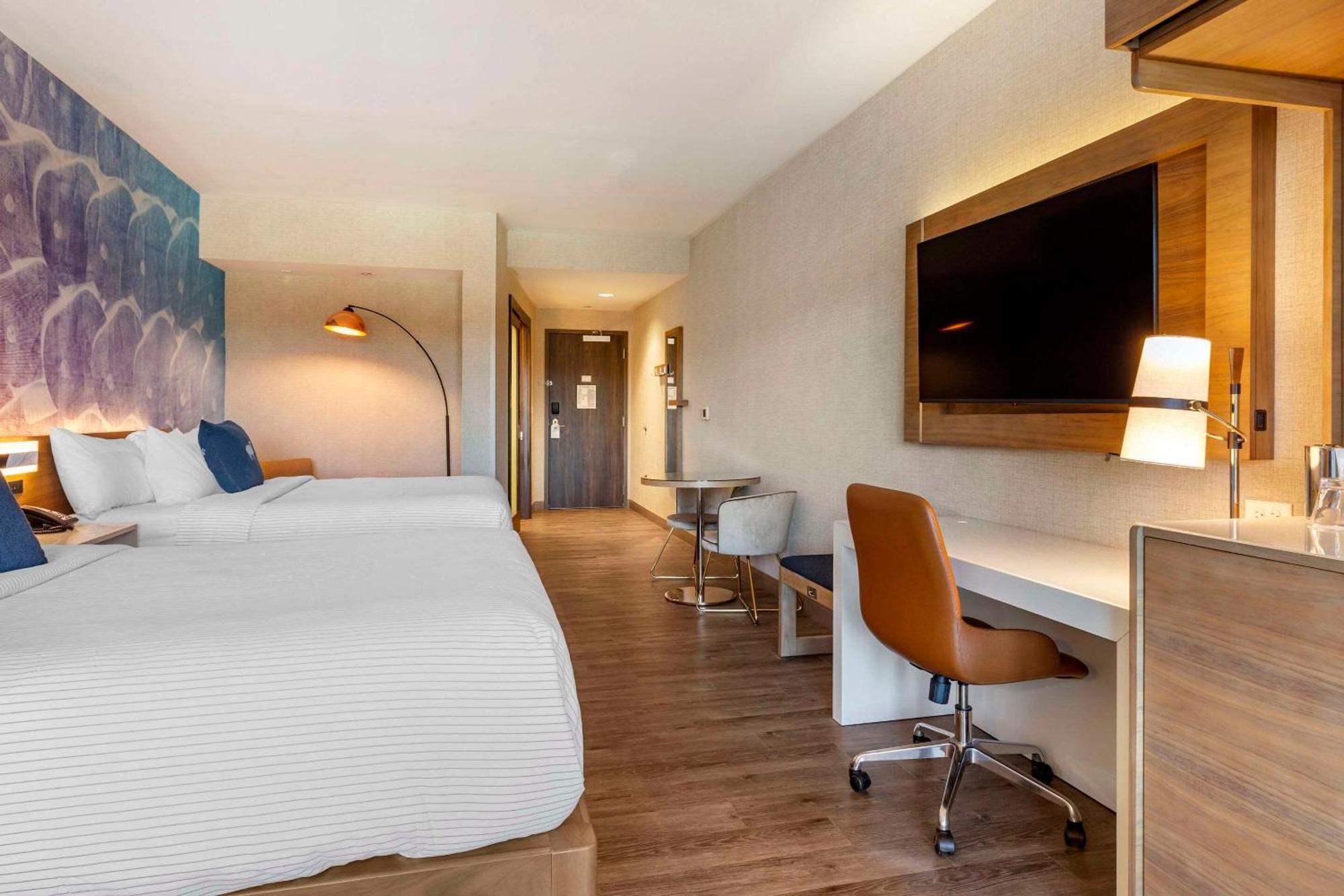 Cambria Hotel Manchester South Windsor 외부 사진
