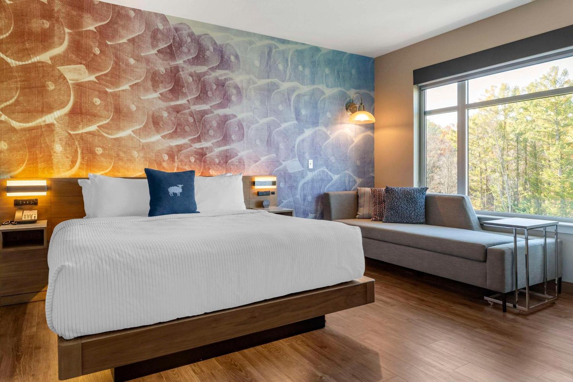 Cambria Hotel Manchester South Windsor 외부 사진