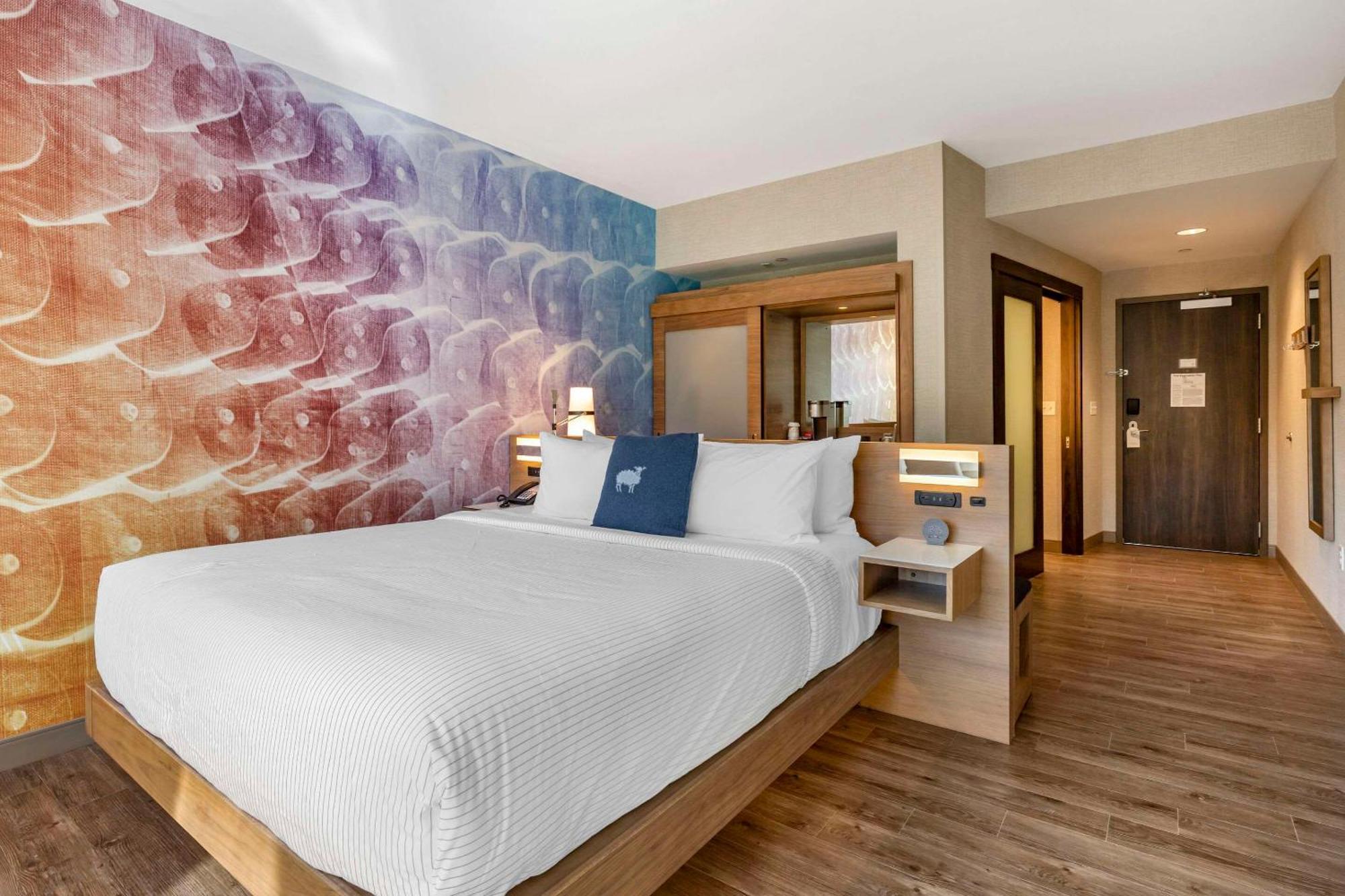 Cambria Hotel Manchester South Windsor 외부 사진