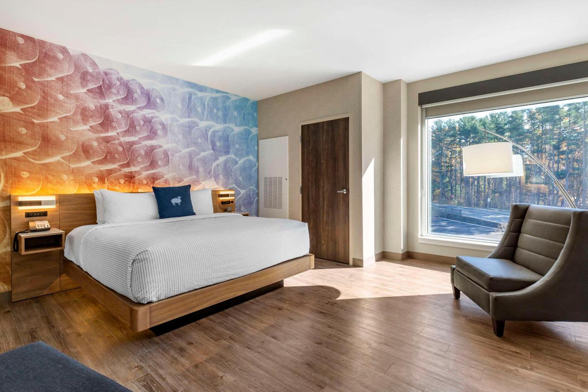 Cambria Hotel Manchester South Windsor 외부 사진